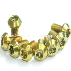 China Titanium Alloy Bolt for Mountain bicycle supplier